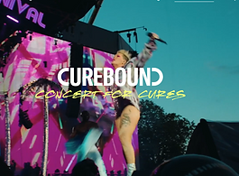Curebound Concert with P!NK