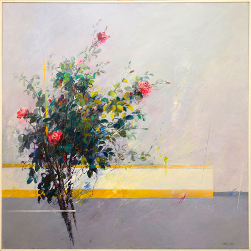 Miniatura: Rosalen Alcaudete