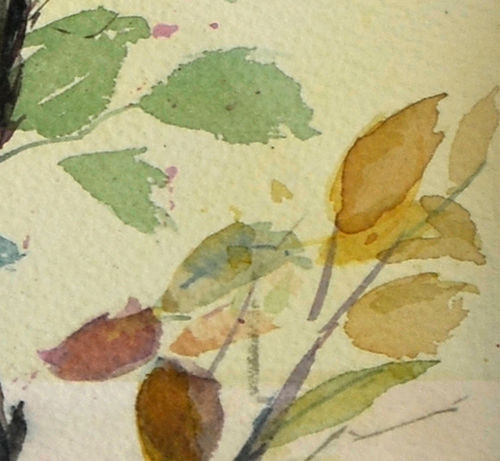 Miniatura: Rosal rosa