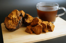 Chaga tea