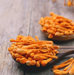 Raw Era Cordyceps mushrooms