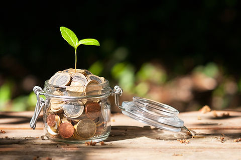 young-plant-growing-from-a-jar-full-of-e