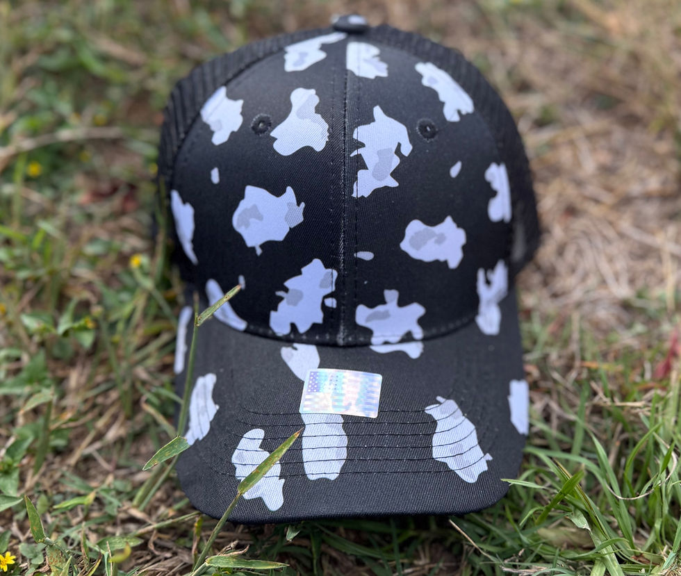 Thumbnail: Mesh Back Leopard Print Hat