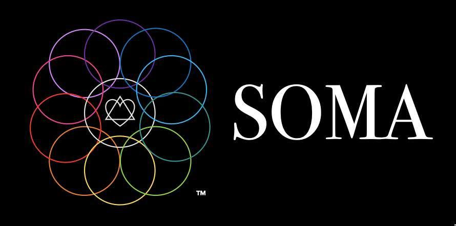 SOMA Professional Healing Group