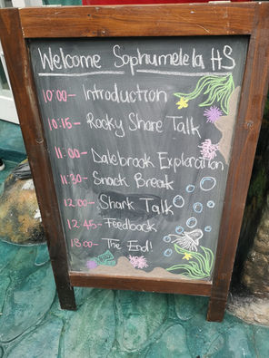 SAEP hosts experiential learning on Marine life and Sharks