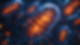 AdobeStock_1247159693.jpeg