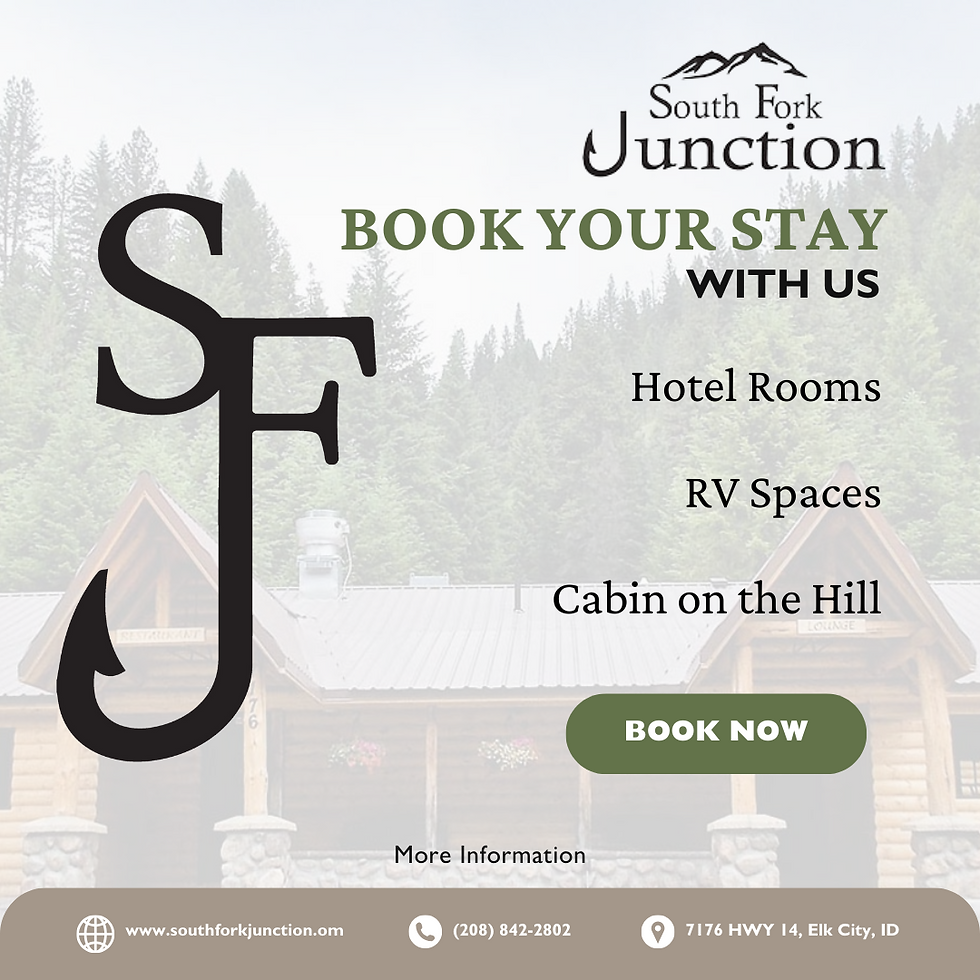 Book Your Stay Campaign