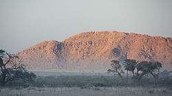 Rising From The Mists