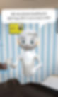 Contact image.jpg
