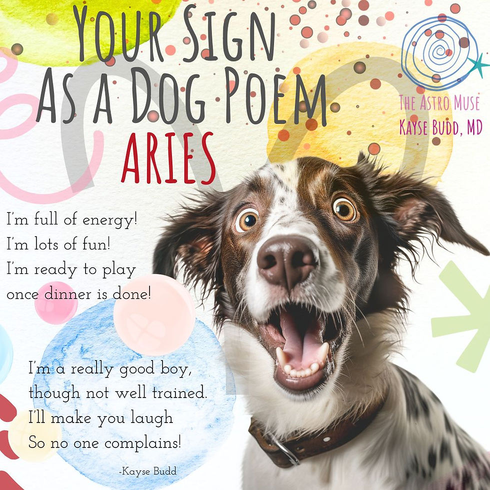 Whimsical Zodiac Poetry for Each Sign