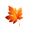 11.png