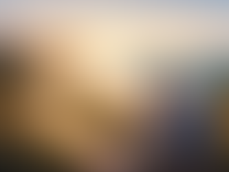 Australians lacking financial literacy around retirement: TAL