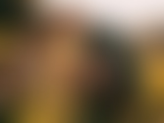 Retirement: supporting member decision-making