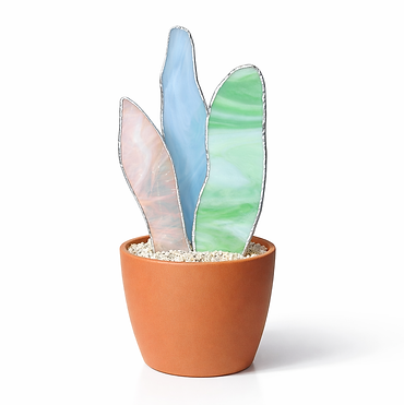 Photo de Google (5).png