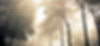 Forest camping_edited.jpg