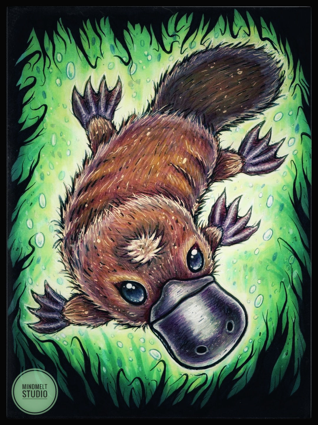 Percy the Platypus