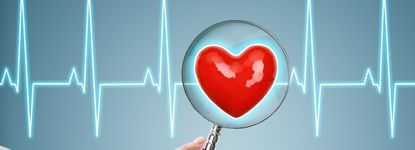 Stress et santé cardiovasculaire