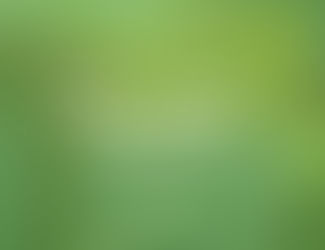 Don't Worry, Be Happy!