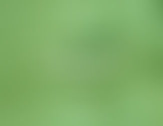 Daily Actions for Wellness