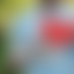 Supporting a Healthy Heart at Work and Beyond