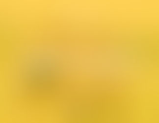 Celebrate National Health and Fitness Day