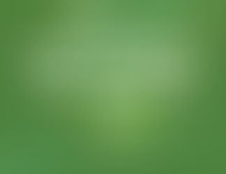 Nourishing Your Body: Nutrition Basics for a Healthier You