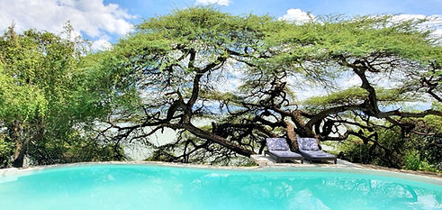 Teddy Bear island, Lake Baringo Private camp 8,,--.jpg