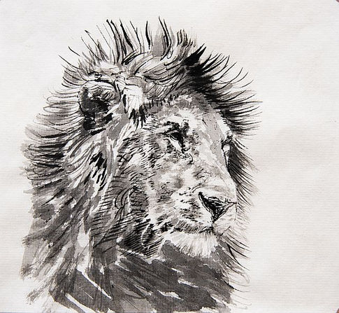 Wildlife art, wildlife artist, Landscape paintings, Still Life Art, oil paintings, Amy Sandys-Lumsdaine, Kenya art, wildlife paintings, animal art, animal artist, wildlife oil paintings