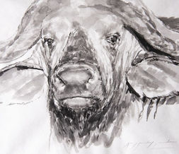 Wildlife art, wildlife artist, Landscape paintings, Still Life Art, oil paintings, Amy Sandys-Lumsdaine, Kenya art, wildlife paintings, animal art, animal artist, wildlife oil paintings