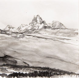 Wildlife art, wildlife artist, Landscape paintings, Still Life Art, oil paintings, Amy Sandys-Lumsdaine, Kenya art, wildlife paintings, animal art, animal artist, wildlife oil paintings