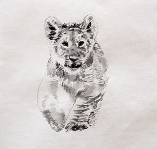 Wildlife art, wildlife artist, Landscape paintings, Still Life Art, oil paintings, Amy Sandys-Lumsdaine, Kenya art, wildlife paintings, animal art, animal artist, wildlife oil paintings