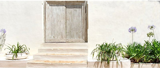 Wildlife artist Amy Sandys-Lumsdaine's art gallery