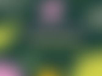 "Appeal over controversial Kingsmeadows plans" Peeblesshire News and Border Telegraph - 27 Nov 2025