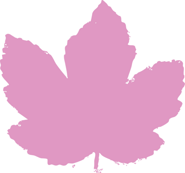 Leaf Graphic Pink