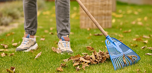 spring yard clean up services.png