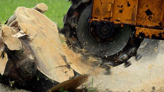 stump grinding service
