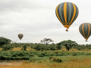 Luxury Safari Packages