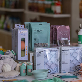 pet business focused branding photography