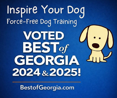 Best of GA 2024 2025.jpg