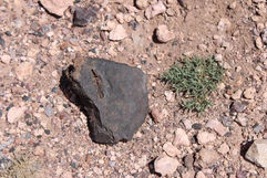 An Intimate Introduction to Slag and the Spirit of Resilience