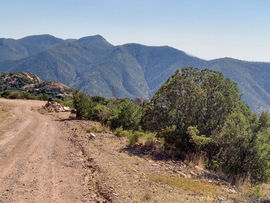 Dirt road winding through Juniper Flats with scenic views of the Mule Mountains and desert vegetation during a Big Jeep Tours adventure in Bisbee, Arizona.