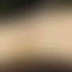 concrete wall with text that reads "Mule Pass Tunnel 1958"