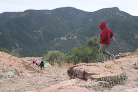 Guest in red hoodie hiking with a dog in Juniper Flats near Bisbee, Arizona, surrounded by green mountains and rocky terrain during a Big Jeep Tour.