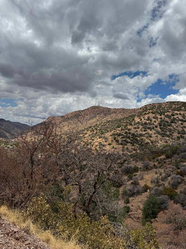 View of the microwave towers atop the Mule Mountains under a dramatic sky, captured on the Juniper Flats Sunset Tour with Big Jeep Tours in Bisbee, Arizona.