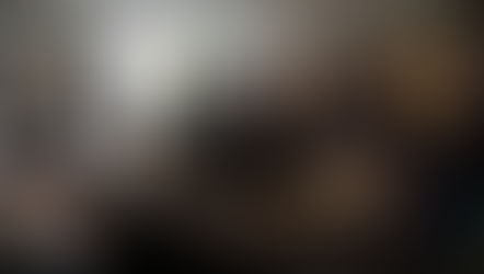 Último Consejo Directivo 2024: Logros Alcanzados y Proyección al Futuro