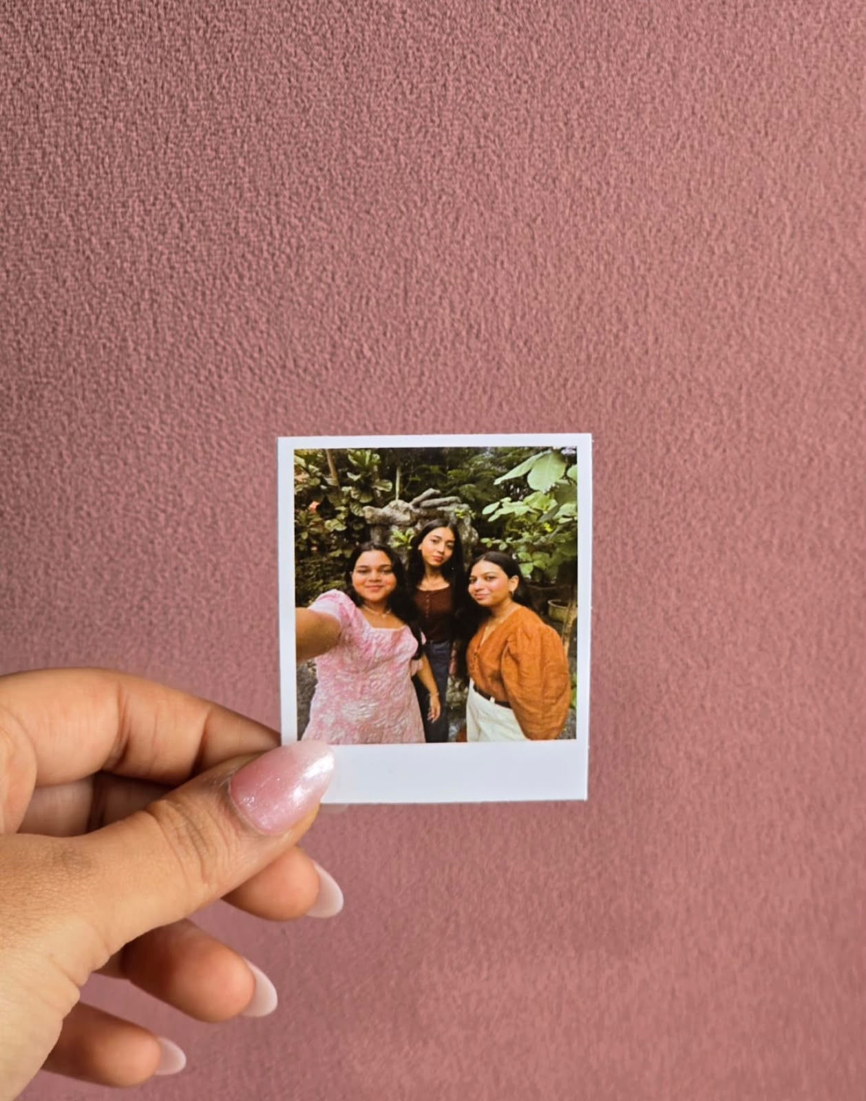 Polariods
