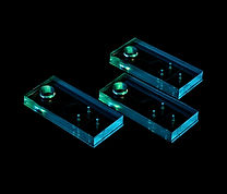 PDMS chips