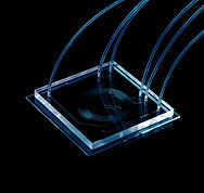 PDMS chips with tubine