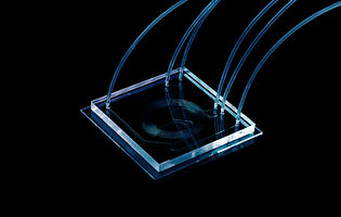 PDMS1.jpg