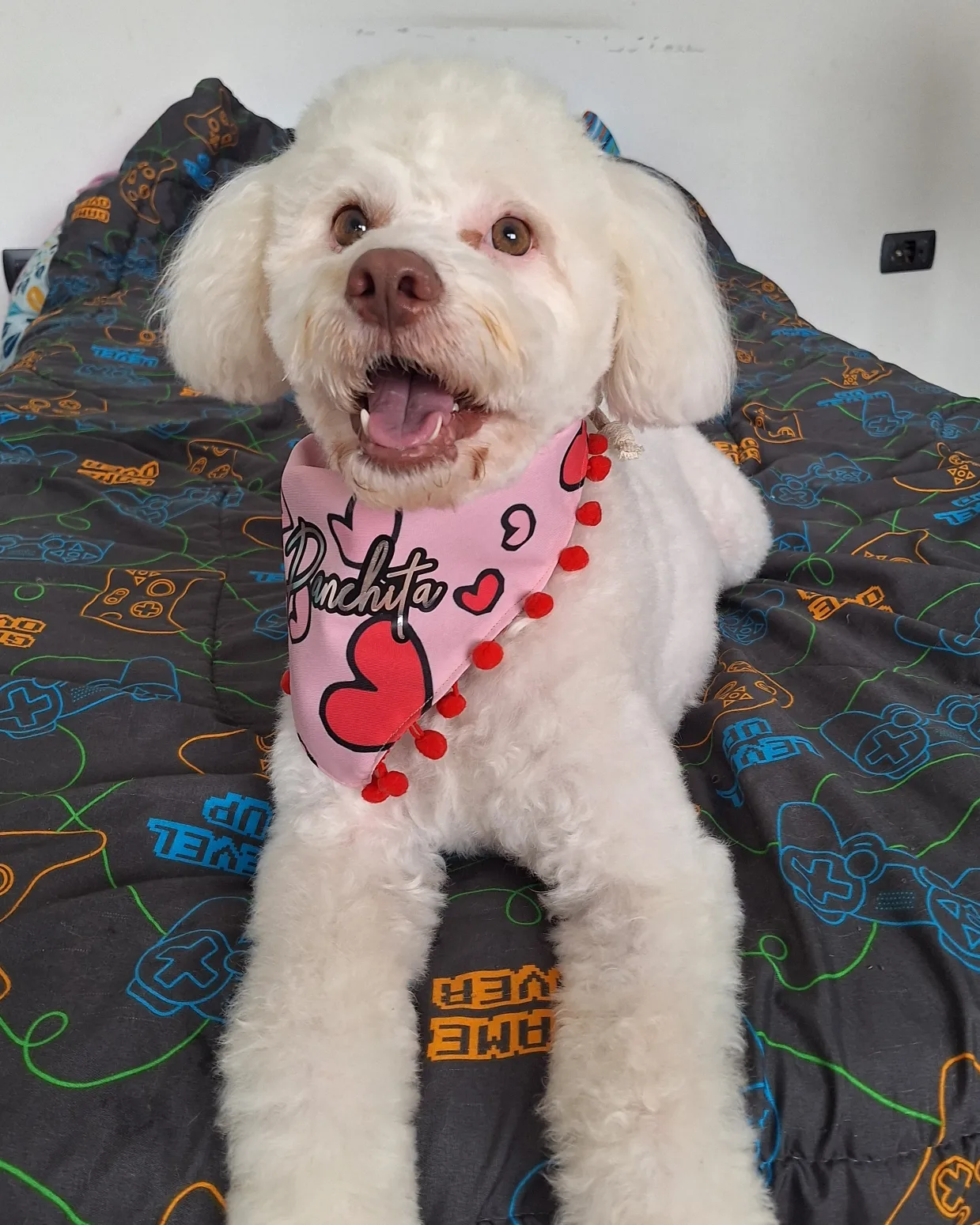 Panchita